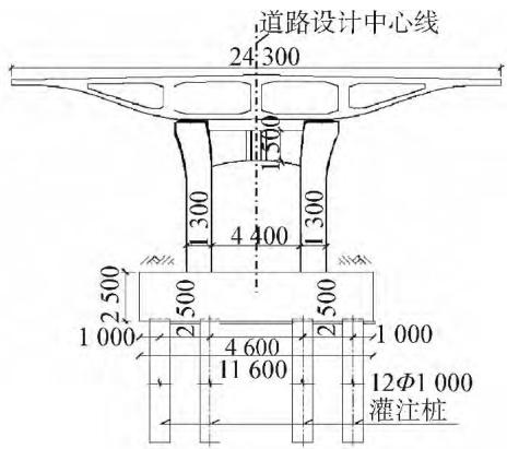 图6 桥梁横断面