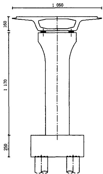 图4桥梁横断面图(单位:cm)