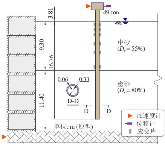 图2CSP3桩柱式墩结构地震反应离心机模型试验